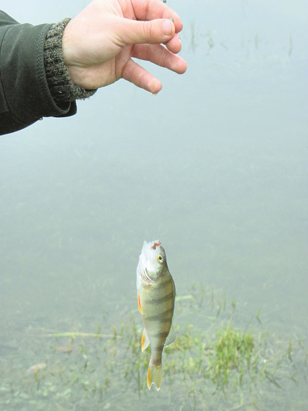 Изображение Фото Маилкова Анатолия. 