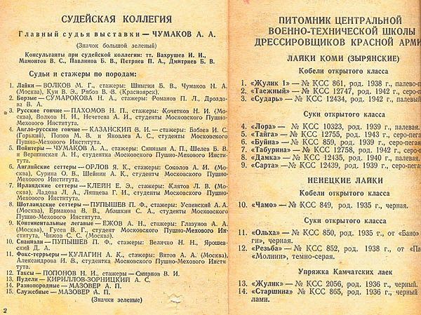 Изображение Фото автора.