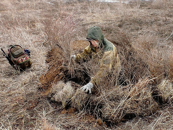 Изображение Идеальная маскировка — залог успешной охоты. Фото автора. 