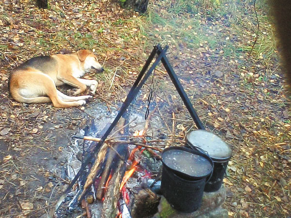 Изображение Фото автора. 
