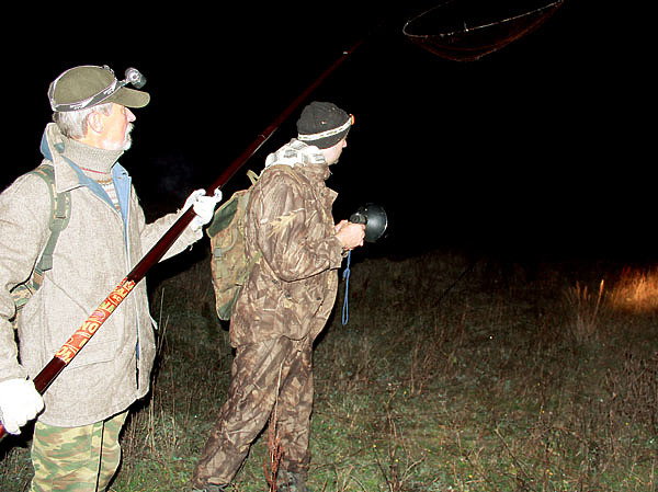 Изображение Фото Сергея Фокина. 