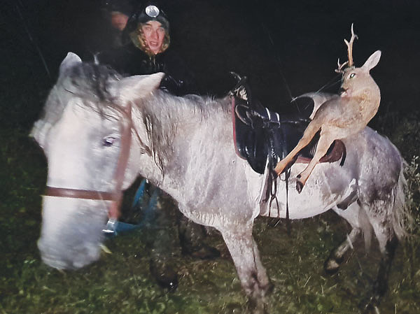 Изображение К концу дня нет ничего приятнее, чем перекинуть тяжесть добычи и снаряжения с плеч на круп лошади. Фото автора. 