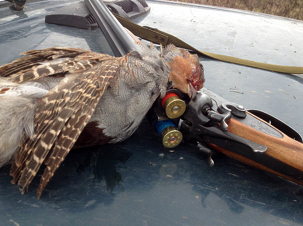 Изображение фото: Семина Михаила 