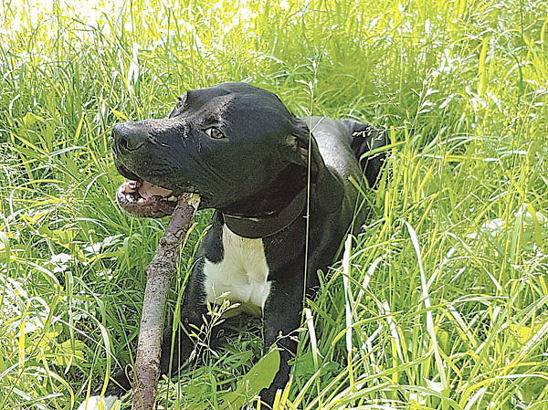 Изображение Фото Сергея СКРЯБИНА