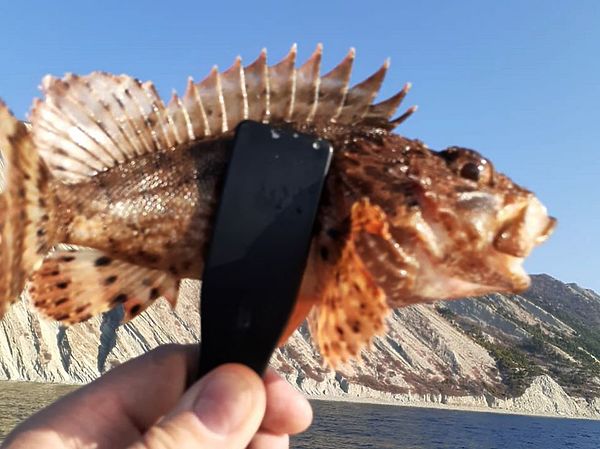 Изображение Задел был сделан буквально через несколько минут. Скорпена. Фото: Евгений Кузнецов. 