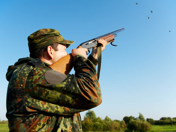 Изображение фото: fotolia.com