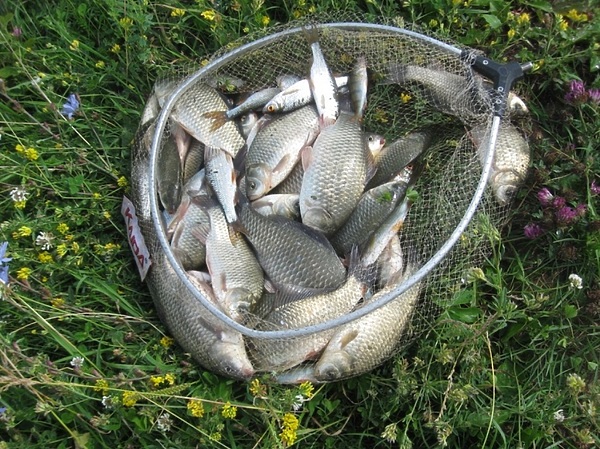 Изображение Фото: Токарева Александра. 