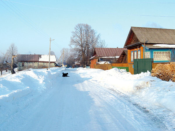 Фото: Токарева Александра. 