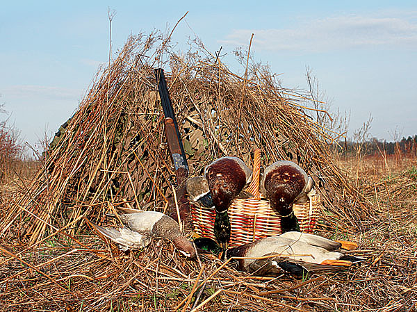 Изображение Для успешной охоты шалаш должен сливаться с местностью. Фото автора.
