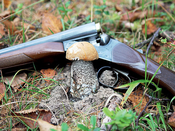 Изображение ФОТО ДМИТРИЯ ВАСИЛЬЕВА