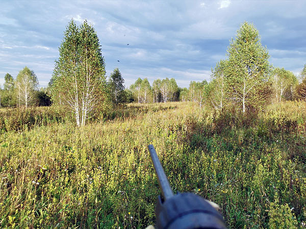 Изображение Идеальное место для того, чтобы задержаться на десять минут и поманить козла. Фото автора.