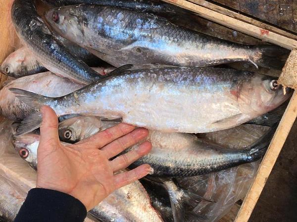 Изображение Фото: Коломийца Алексея.