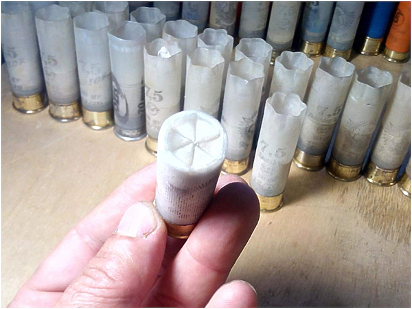 Изображение фото автора