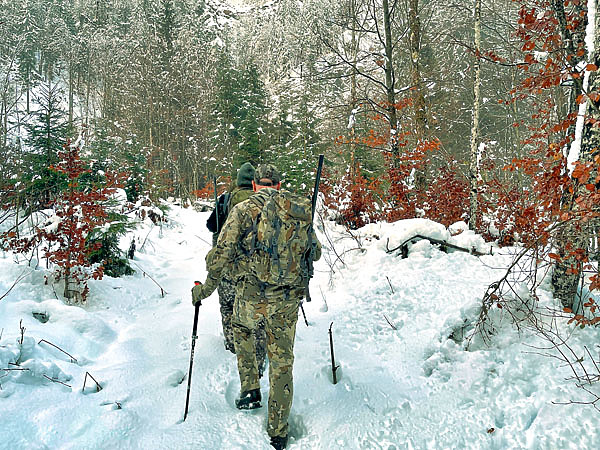 Изображение Шаг — вдох, шаг — выдох, еще шаг — вдох! И так до самого конца. Фото автора.