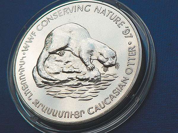 Изображение Фото автора. 