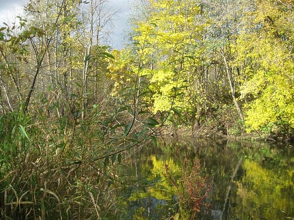 Изображение Фото: Александр Токарев.