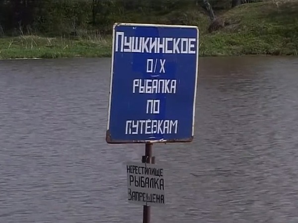 Изображение Фото: Яншевского Андрея. 