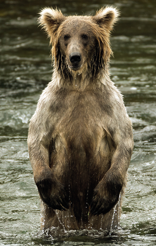 Изображение ФОТО NICK DALE/BIGSTOCKPHOTO.COM