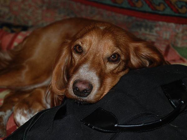 Изображение фото: Семина Михаила 