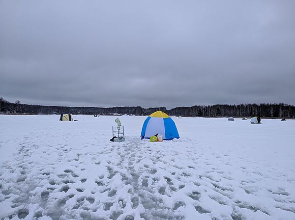 Изображение Фото: Алексей Трембицкий.