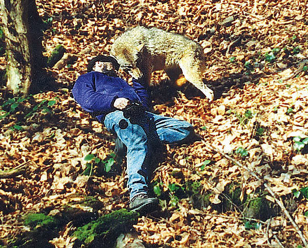 Изображение Об авторе. Ясон Константинович БАДРИДЗЕ — ученый этолог, доктор биологических наук. В настоящее время профессор Тбилисского государственного университета им. Ильи. Преподает курс поведения животных. Почти двадцать лет своей жизни изучал поведение волка. Два года прожил в волчьей стае. Самостоятельно выкормил и воспитал почти сотню волков. Разработал методы выращивания и отбора диких животных для возвращения их в природу. 