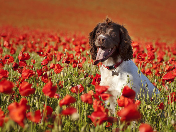 Изображение фото: Fotolia.com