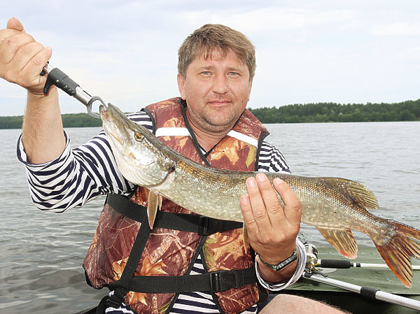 Изображение Cпециальный захват — удобная вещь, чтобы не порезаться о щучьи зубы. Фото: Васильева Дмитрия. 