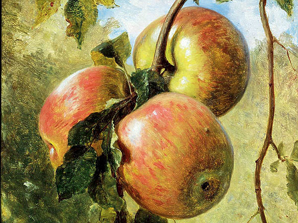 Изображение ФОТО BIODIVLIBRARY/FLICKR.COM (CC BU 2.0)