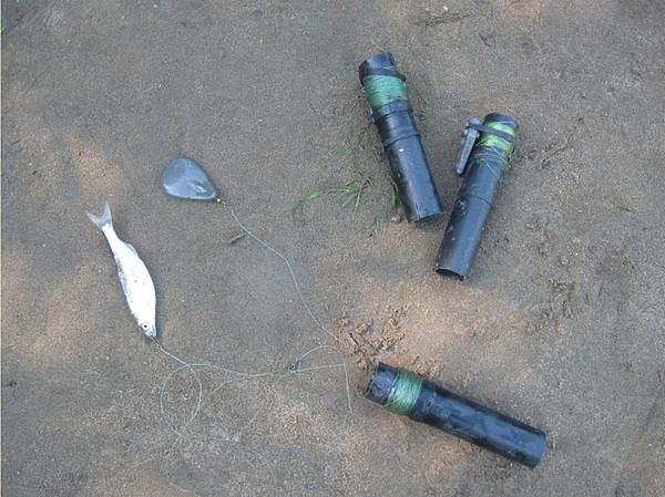 Изображение Фото: Токарева Александра. 