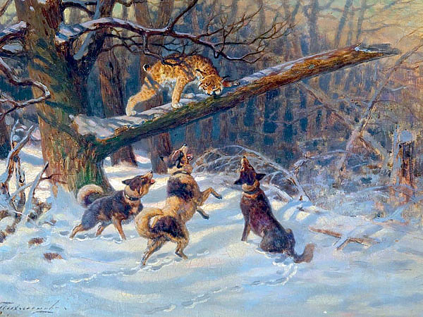 Изображение ИЛЛЮСТРАЦИЯ ИЗ АРХИВА ПАВЛА ГУСЕВА