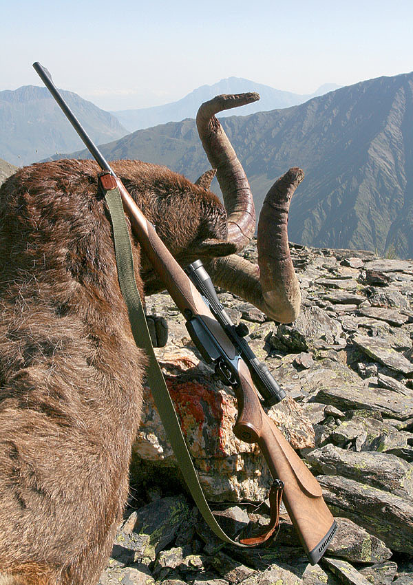 Изображение При стрельбе на большие дистанции точность винтовки имеет первостепенное значение. SHUTTERSTOCK 