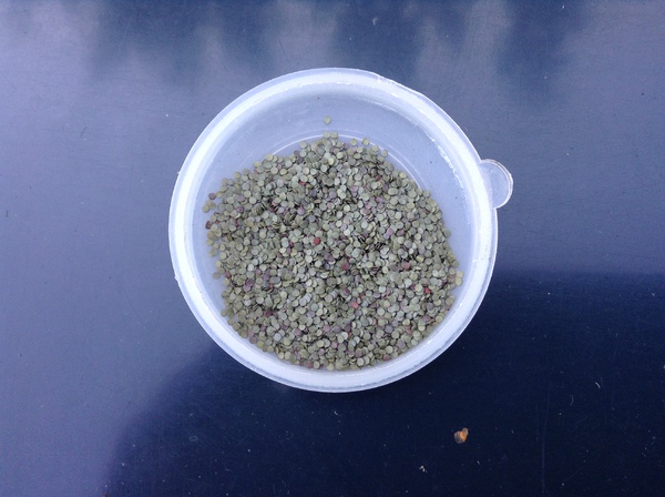 Изображение фото автора 