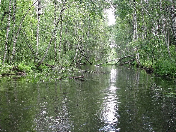 Русфишинг зеленый берег форум