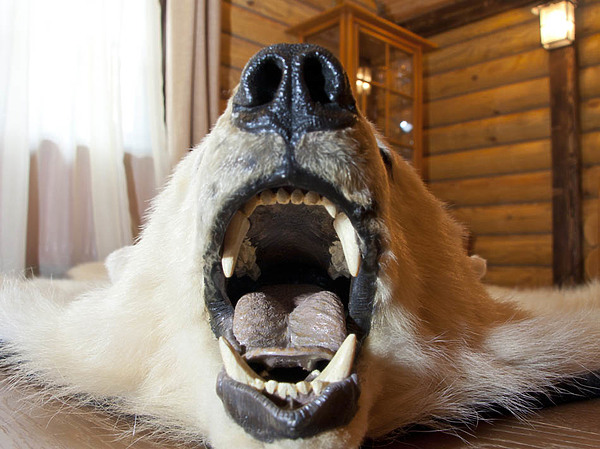 Изображение фото: Никонова Павла