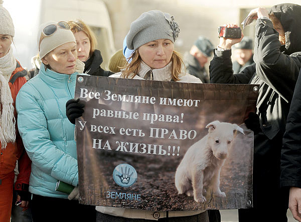 Изображение Движение зоорадикализма имеет все признаки радикального культа. Фото: shutterstock
