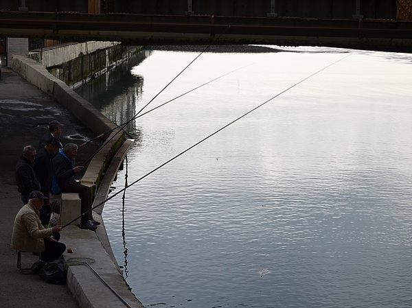 Изображение Процесс ловли в устье реки в самом разгаре. Фото: Шеляга Геннадия.