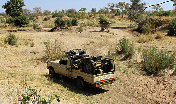Изображение Настоящее африканское сафари подразумевает использование автомобилей. На ногах далеко не уйдешь.