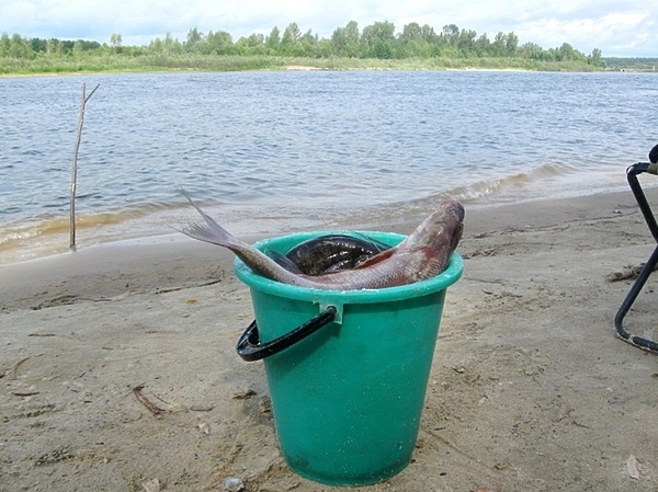 Изображение Фото: Токарева Александра.