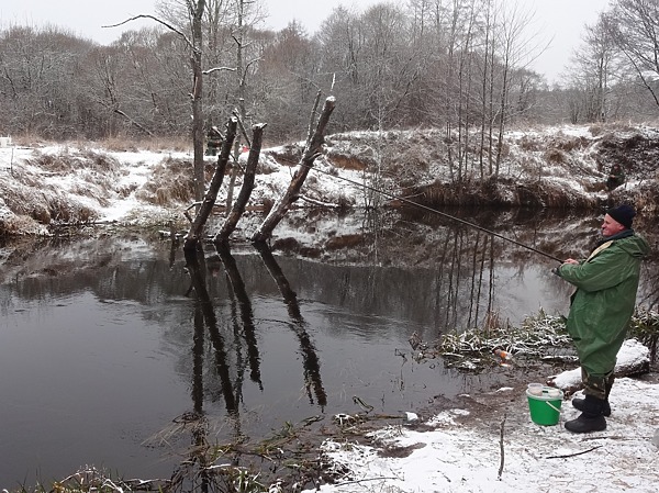 Изображение Фото: Мурашко Алексея.