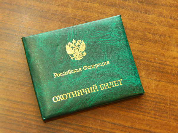 Изображение фото: Антона Журавкова