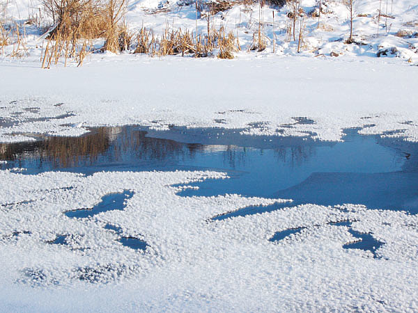 Изображение Фото: Яншевского Андрея.