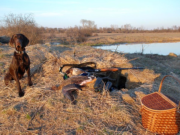 Изображение фото: Семина Михаила