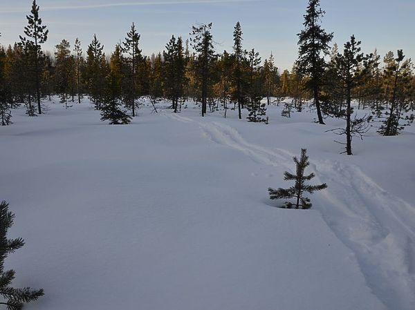 Изображение Путь, которому порой не видно ни конца, ни края. Фото: Геннадий Шеляг. 