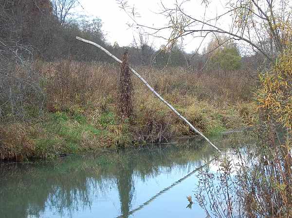 Изображение Фото: Яншевского Андрея.