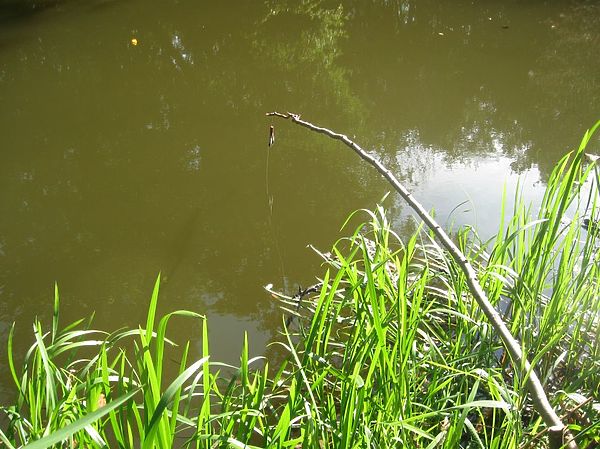 Изображение Фото: Александр Токарев.