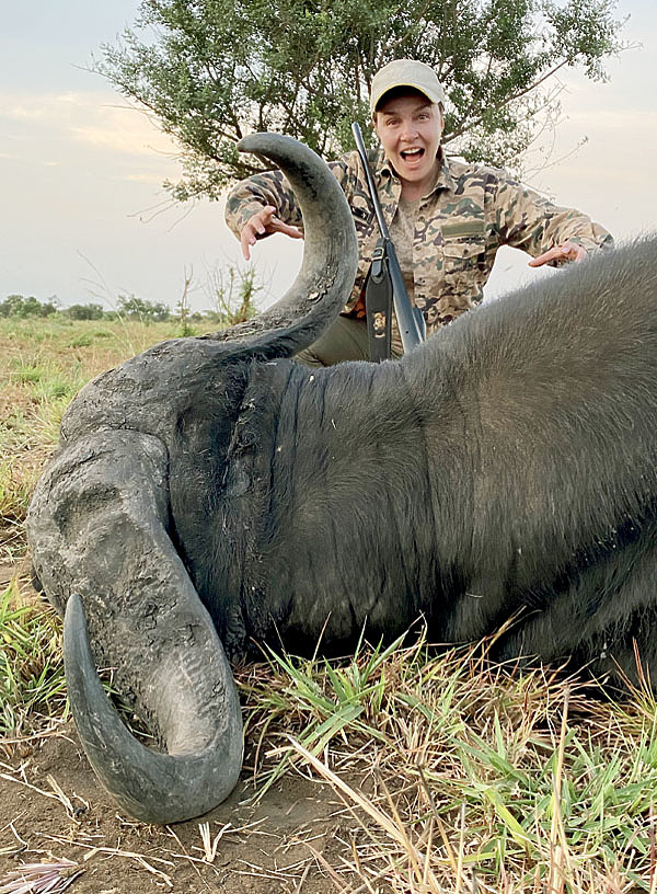 Изображение У старого баффало сросшиеся рога образуют своеобразный костный щит. Фото автора. 