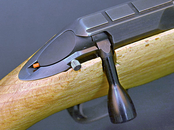 Изображение Вид на ласточкин хвост, затвор, предохранитель и индикатор. Фото автора.