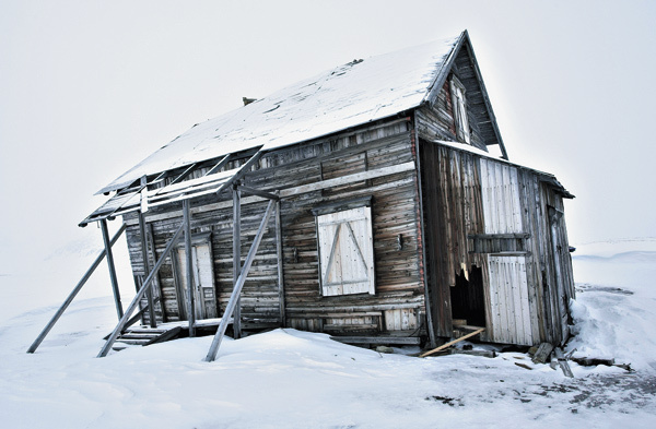 Изображение Каждая зимовка могла стоить жизни — цинга со смертельным исходом была среди русских полярных мореплавателей распространенным явлением, а мясо морского зверя и белого медведя, которое могло бы снабдить организм необходимыми веществами, поморы в пищу не употребляли, считая
«поганым».