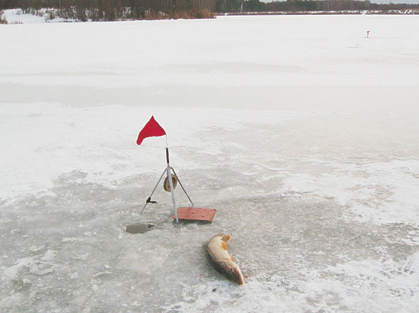 Изображение Фото: Токарева Александра.