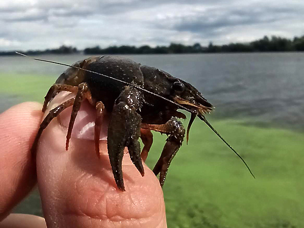 Изображение фото: Никонова Павла